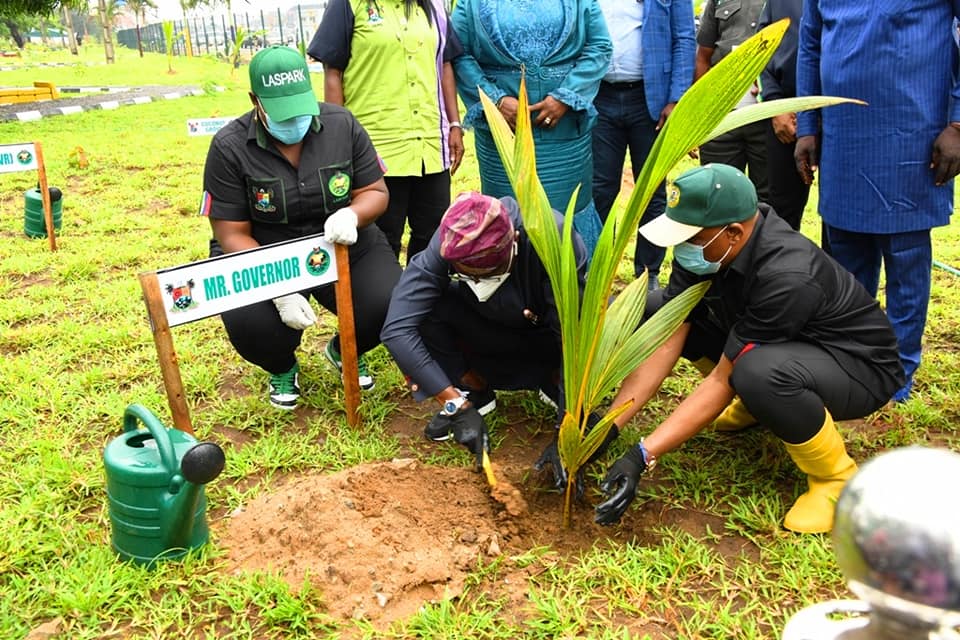 Consistent tree planting essential to reversing degradation of the ...